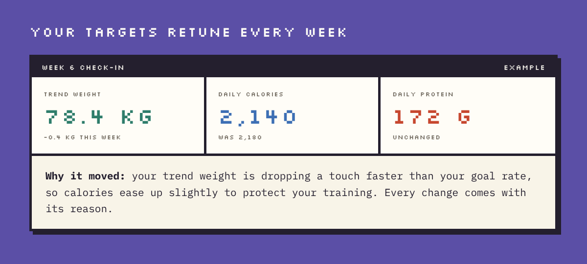 Example Macrosaurus weekly check-in showing trend weight, daily calories and protein, with the reason the calorie target changed.